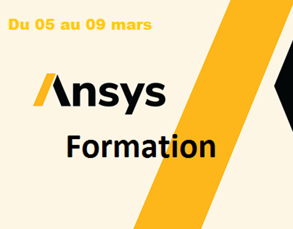 Formation ANSYS
